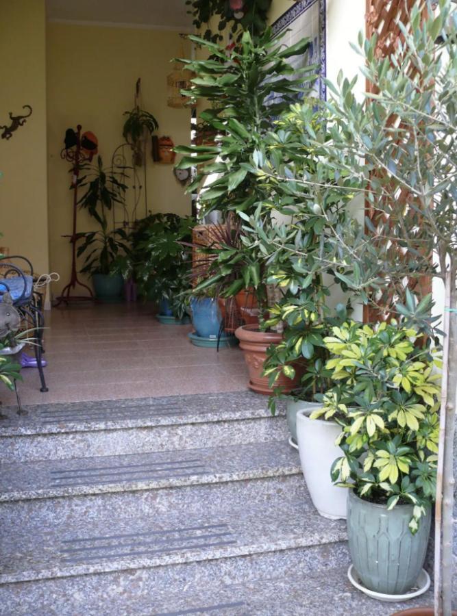 Lovely Flat In Northern Sardinia ヴァッレドーリア エクステリア 写真