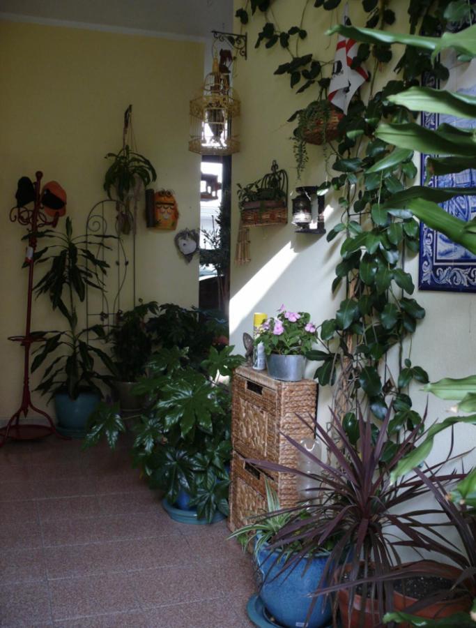 Lovely Flat In Northern Sardinia ヴァッレドーリア エクステリア 写真