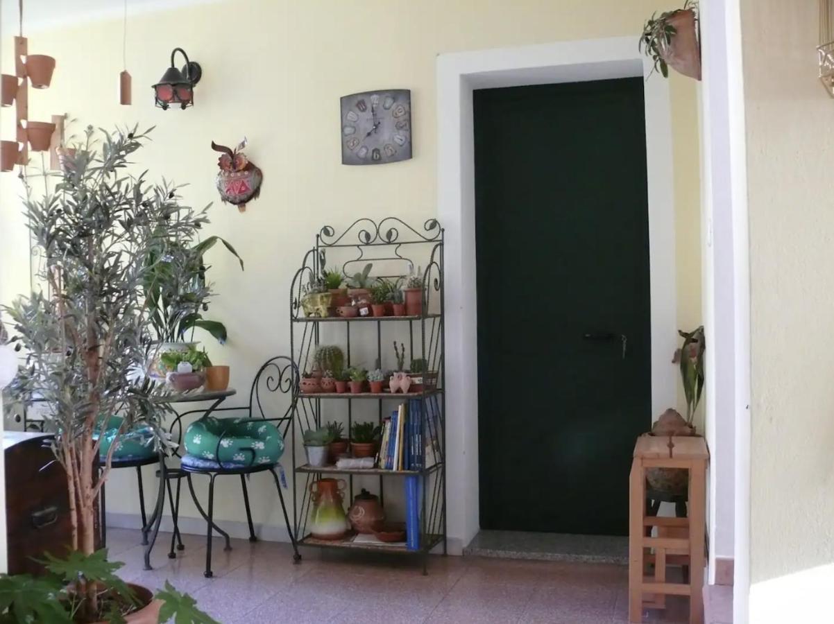 Lovely Flat In Northern Sardinia ヴァッレドーリア エクステリア 写真