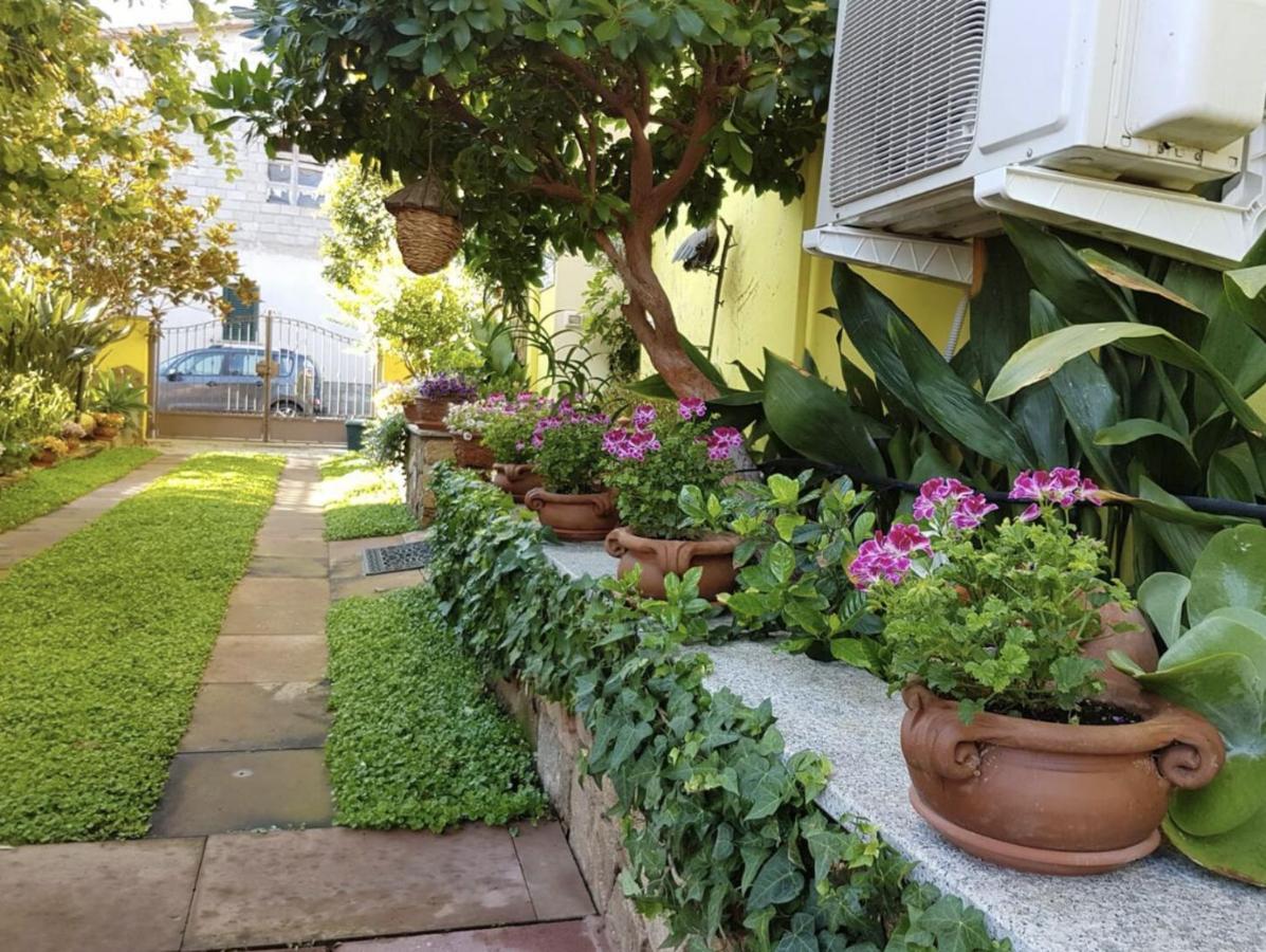 Lovely Flat In Northern Sardinia ヴァッレドーリア エクステリア 写真