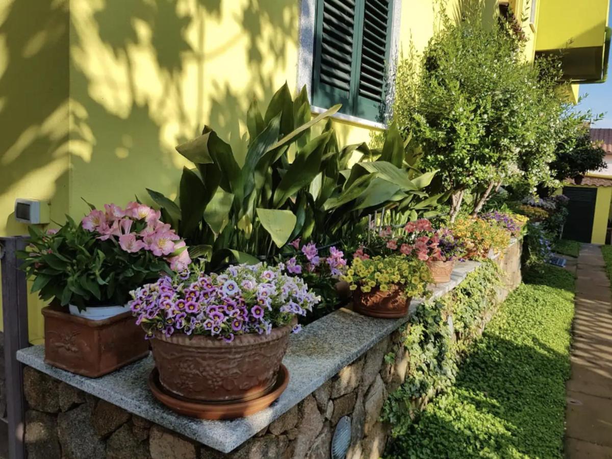 Lovely Flat In Northern Sardinia ヴァッレドーリア エクステリア 写真
