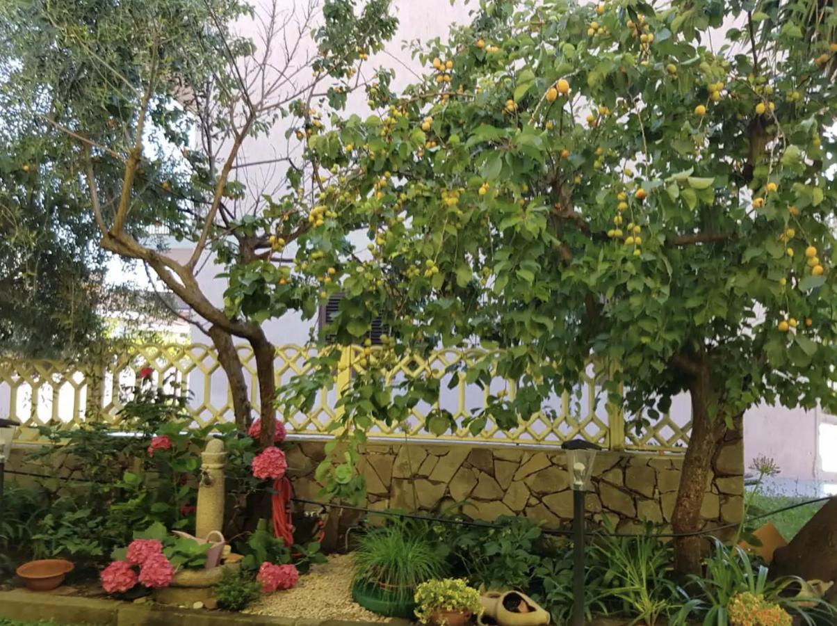Lovely Flat In Northern Sardinia ヴァッレドーリア エクステリア 写真